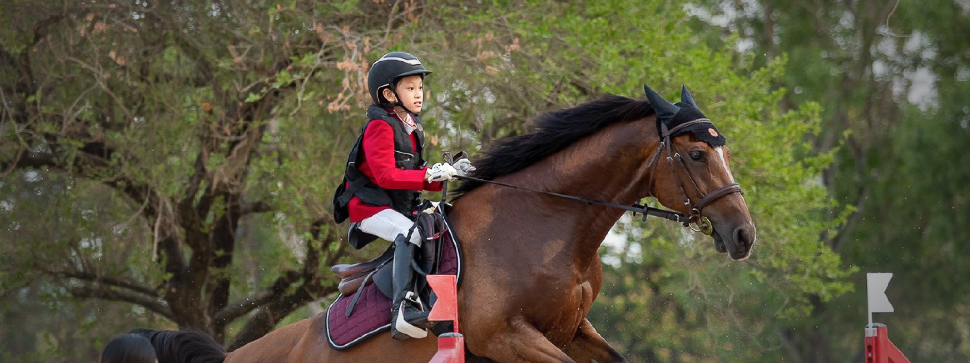 Success is letting go of fear. – Carl Whitaker