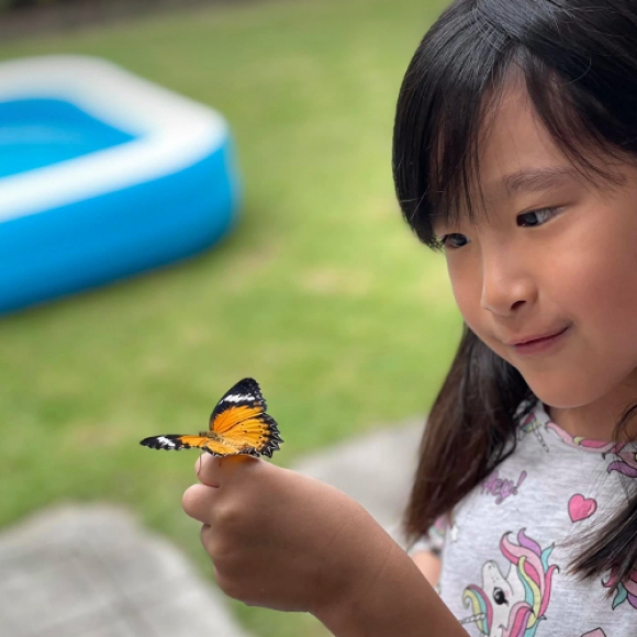 Let’s learn Science: from caterpillar to butterfly