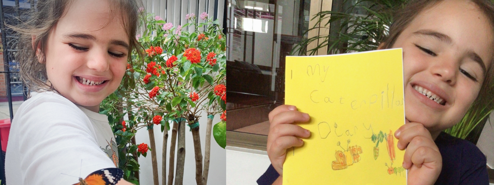 Let’s learn Science: from caterpillar to butterfly