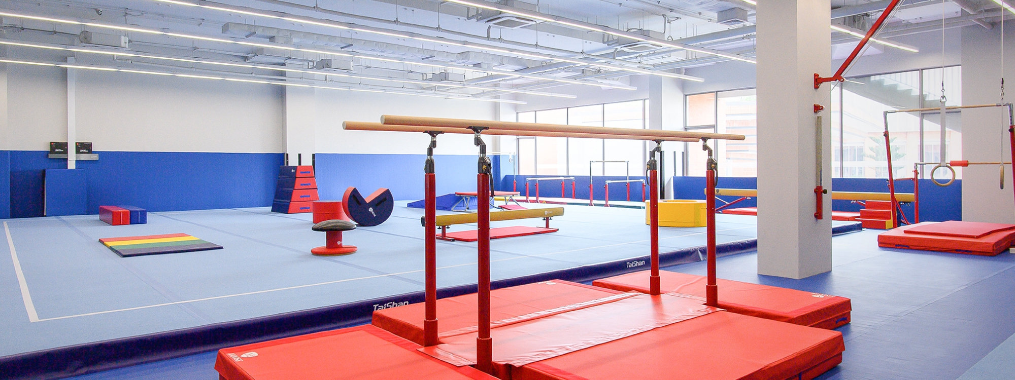 Gymnastics cultivates not only physical strength