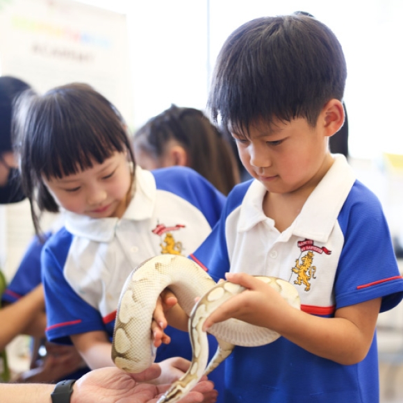 A close-up petting experience with snakes and lizards wowed our young learners