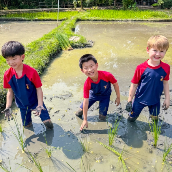 Little Hands, Growing Wisdom: King's Bangkok Primary School Trips